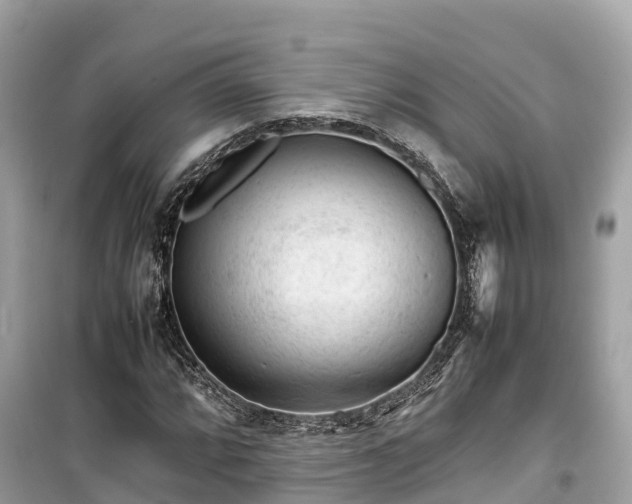X0000099511064200805221417