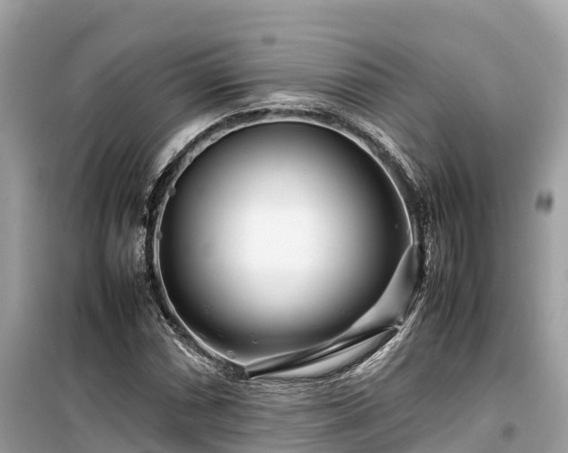 X0000099511066200805221417