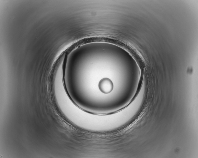 X0000099511069200805221417