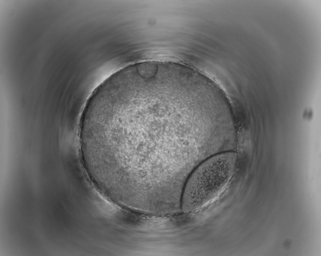 X0000099511071200805221417