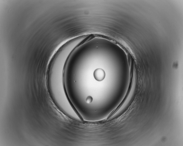 X0000099511076200805221417