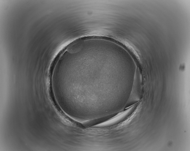 X0000099511077200805221417