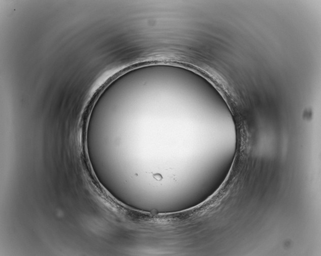 X0000099511078200805221417