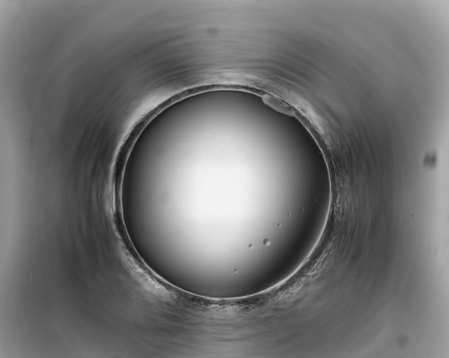 X0000099511080200805221417