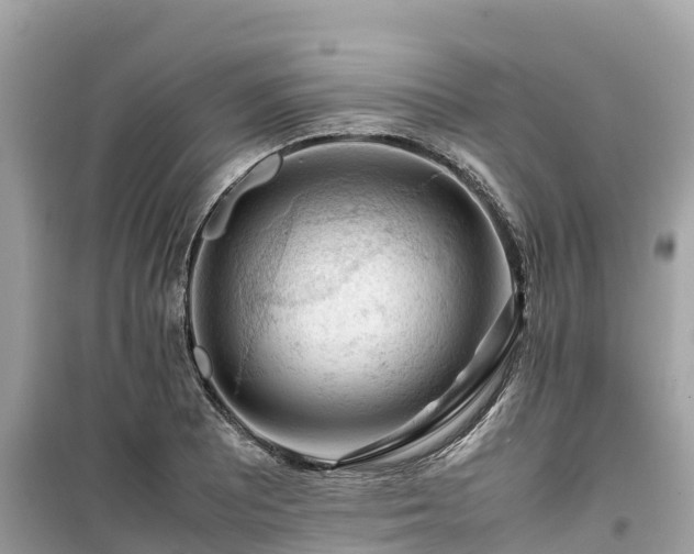 X0000099511081200805221417
