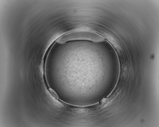 X0000099511084200805221417