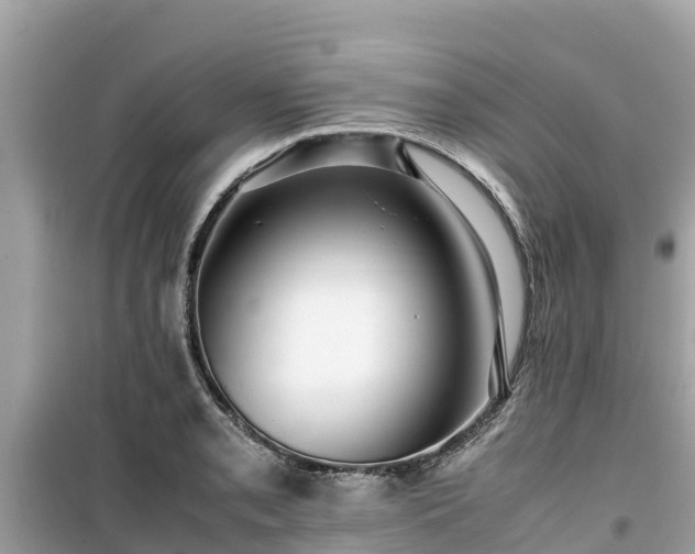 X0000099511085200805221417
