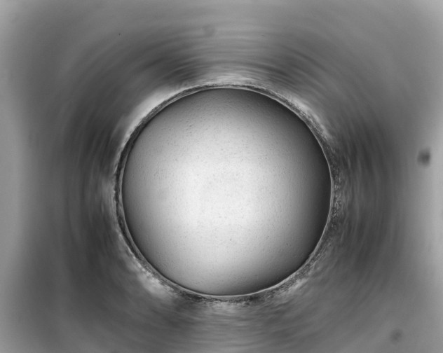 X0000099511086200805221417