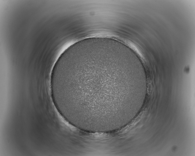 X0000099511087200805221417