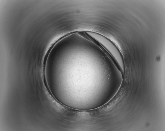 X0000099511088200805221417