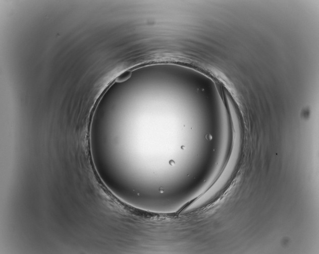 X0000099511089200805221417