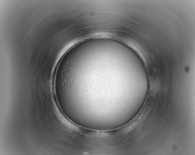 X0000099511090200805221417
