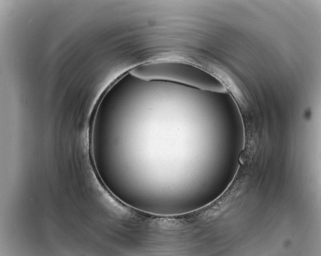 X0000099511092200805221417