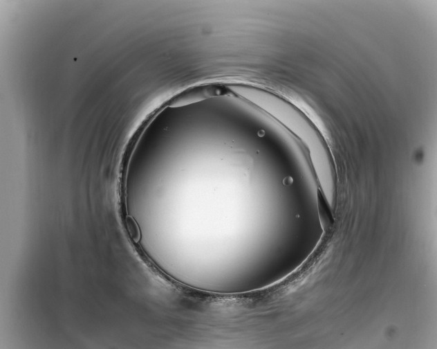 X0000099511093200805221417