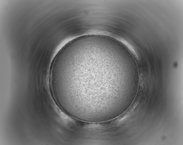 X0000099511094200805221417