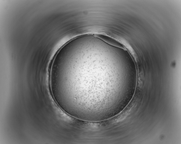 X0000099511096200805221417