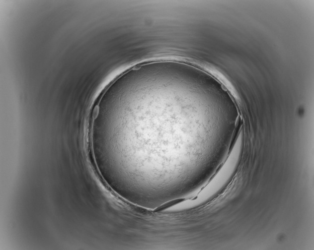 X0000099511101200805221416