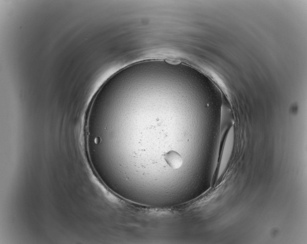 X0000099511103200805221416