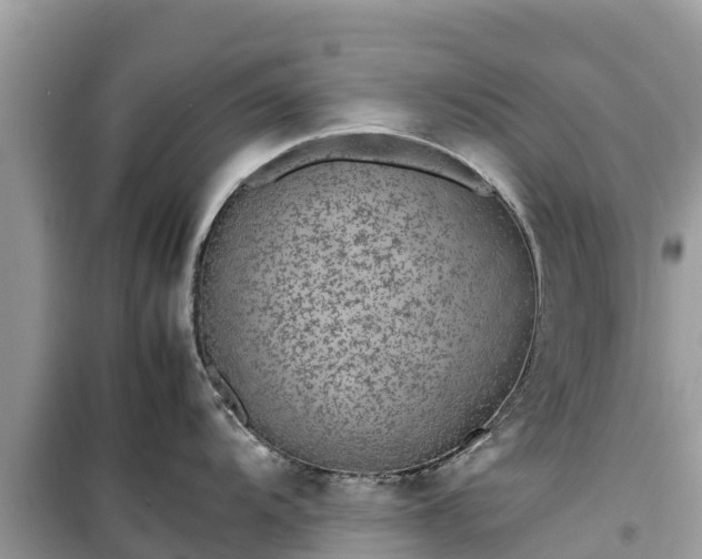 X0000099511104200805221416