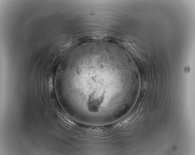 X0000099511106200805221416