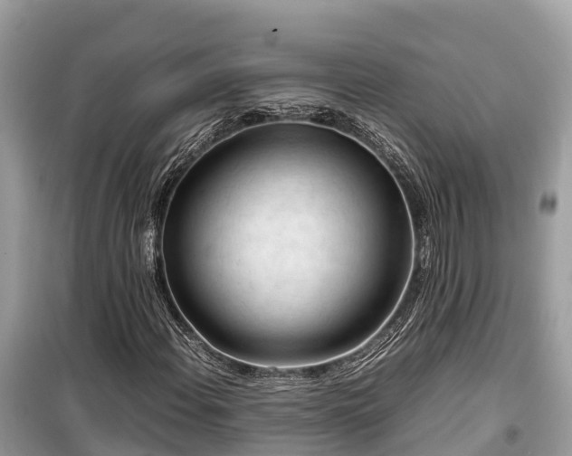 X0000099511108200805221416