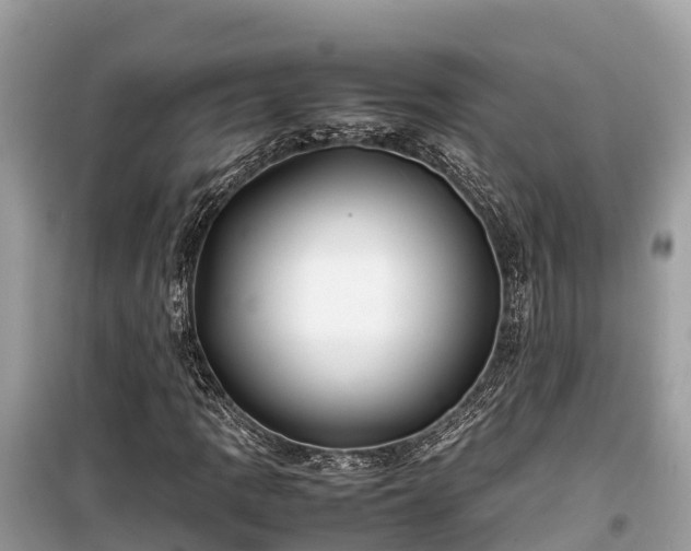 X0000099511109200805221416