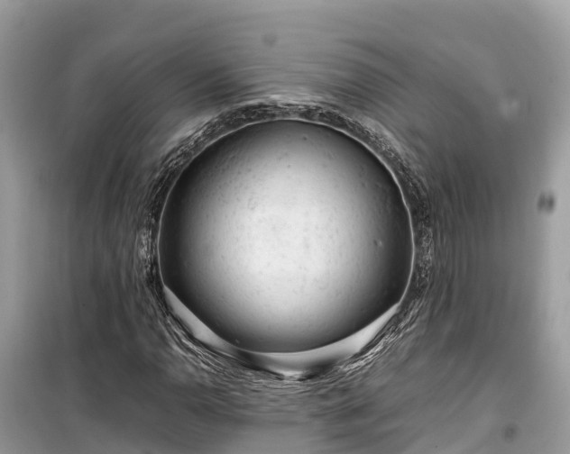 X0000099511110200805221416