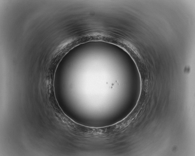 X0000099511111200805221416