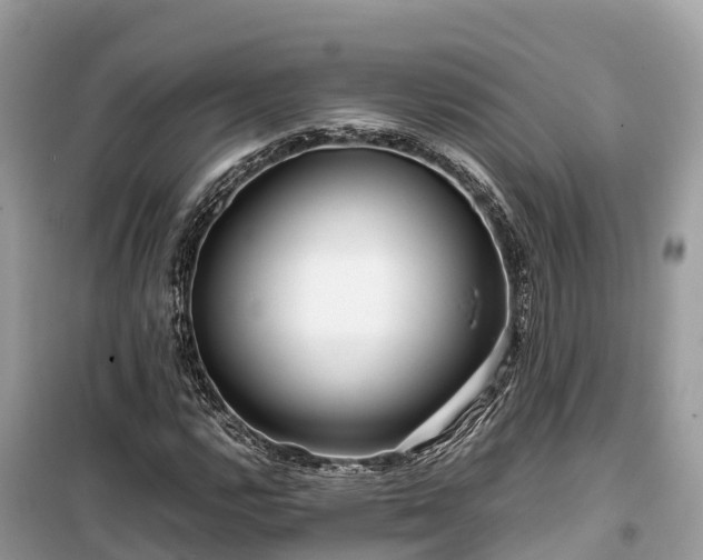 X0000099511112200805221416