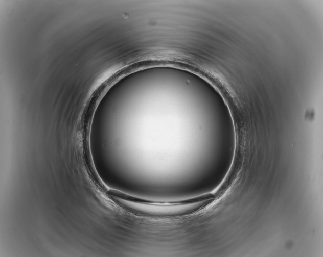 X0000099511114200805221416