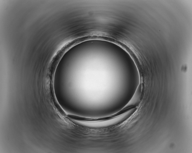 X0000099511115200805221416