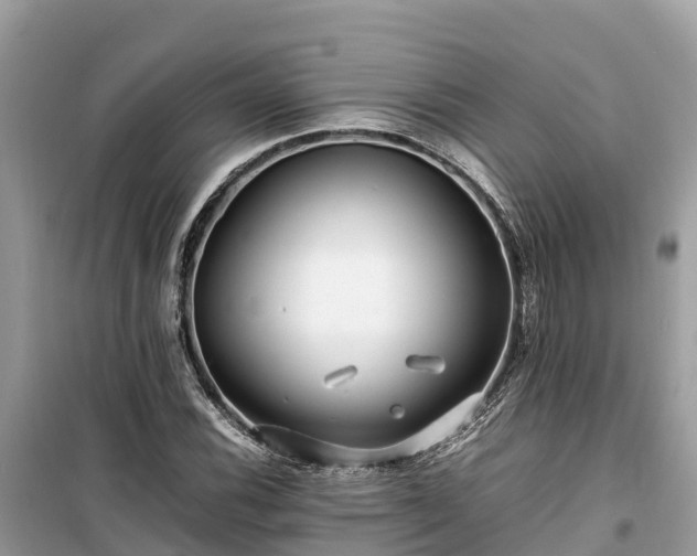 X0000099511116200805221416