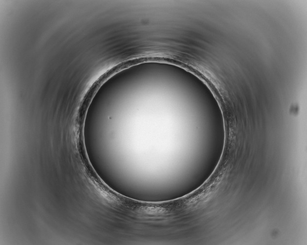 X0000099511119200805221416