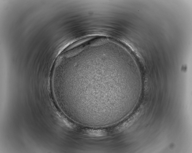 X0000099511121200805221416