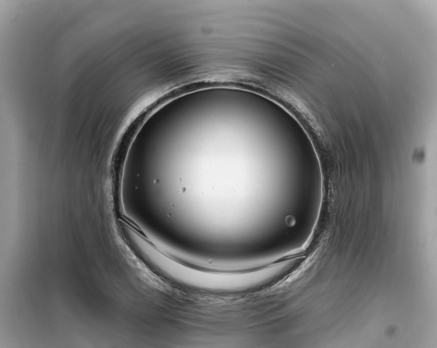 X0000099511122200805221416