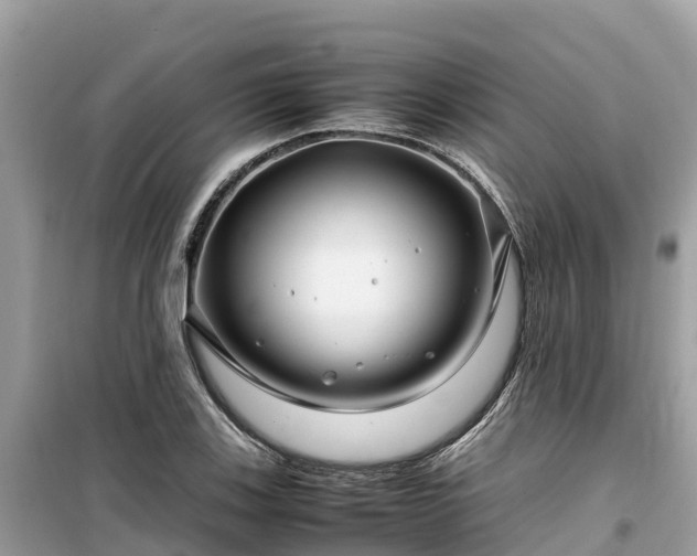 X0000099511123200805221416