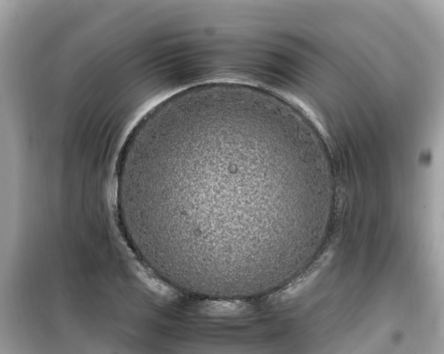 X0000099511125200805221416