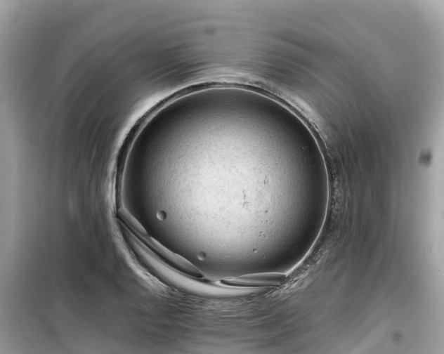 X0000099511128200805221416