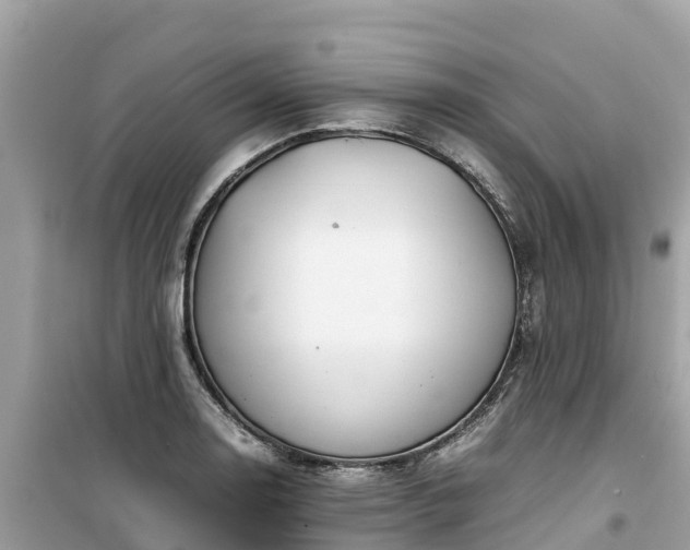X0000099511130200805221416