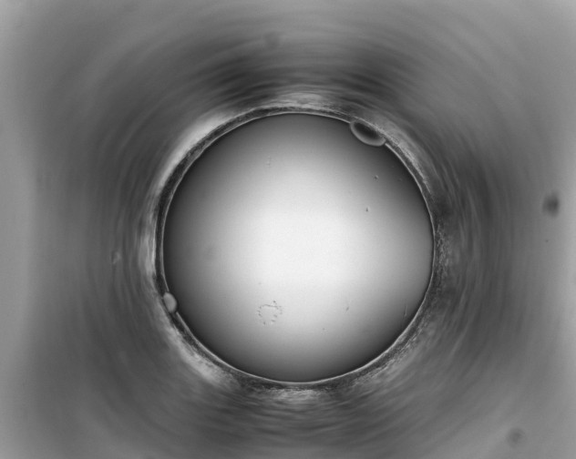 X0000099511131200805221416