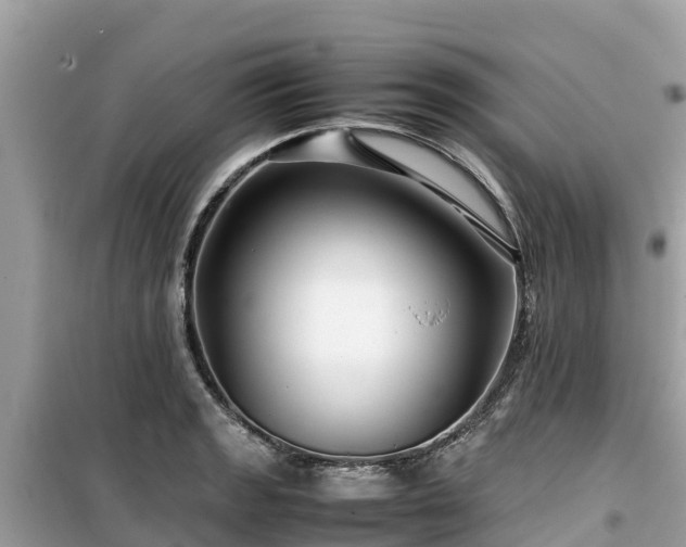 X0000099511133200805221416