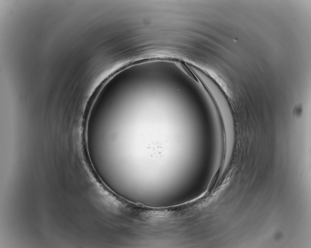 X0000099511134200805221416