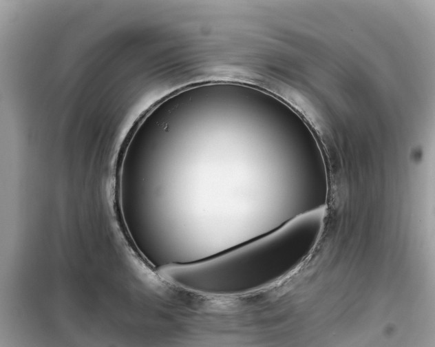 X0000099511136200805221416