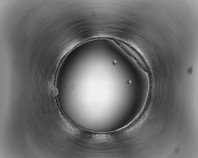 X0000099511137200805221416