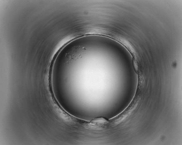 X0000099511138200805221416