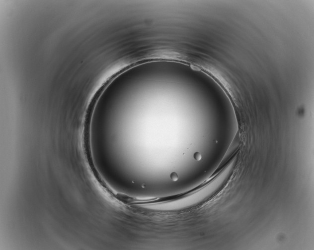 X0000099511139200805221416