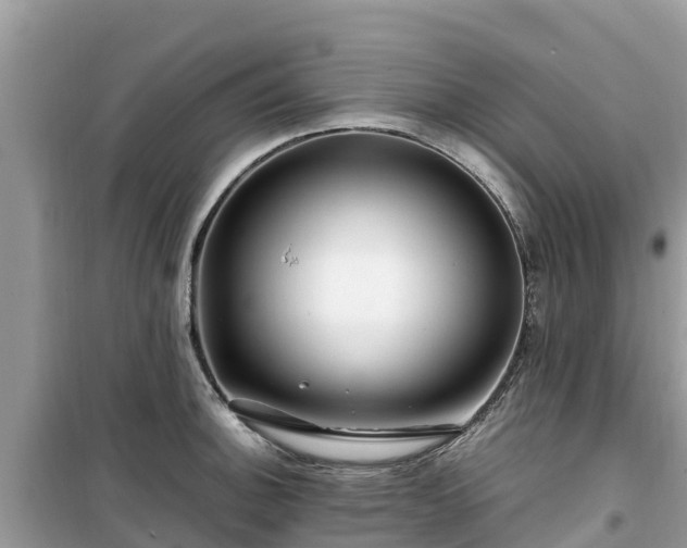 X0000099511140200805221416