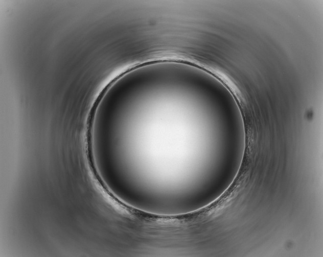 X0000099511142200805221416