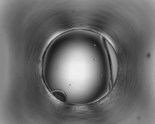 X0000099511143200805221416