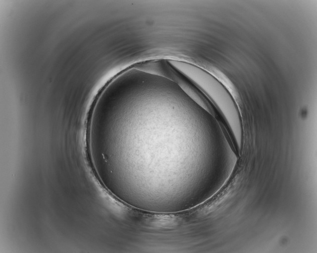 X0000099511144200805221416
